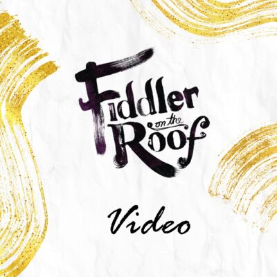 Video Fiddler